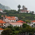 503_Madera_Ponta Delgada